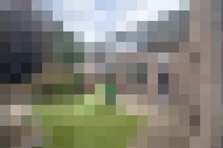 Burgemeester Poortstraat 32 Moergestel thumbnail 31
