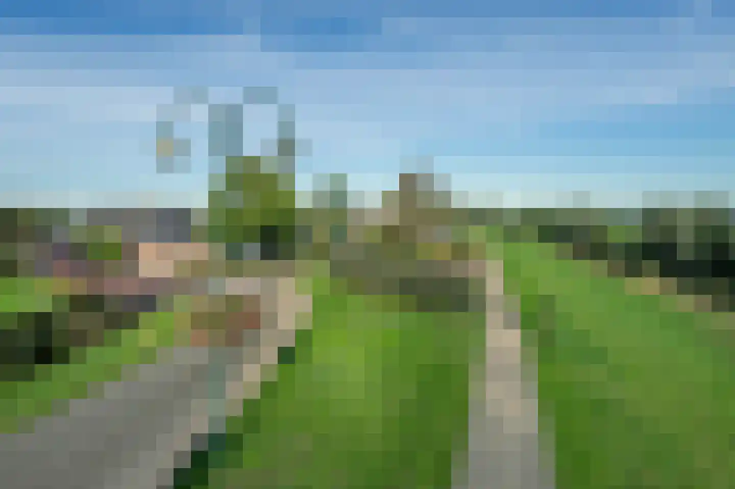 Burgemeester Posweg 10 Brakel thumbnail 14
