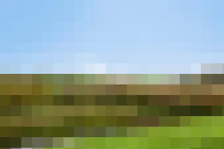 Burgemeester Posweg 12 b Brakel thumbnail 32