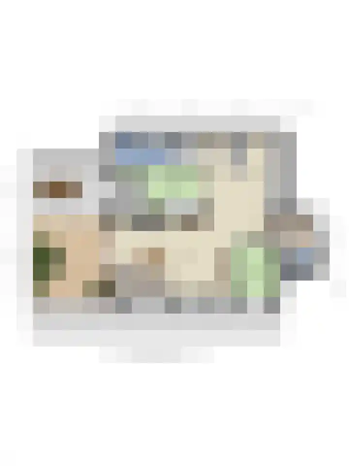 Burgemeester Posweg 12 b Brakel thumbnail 34