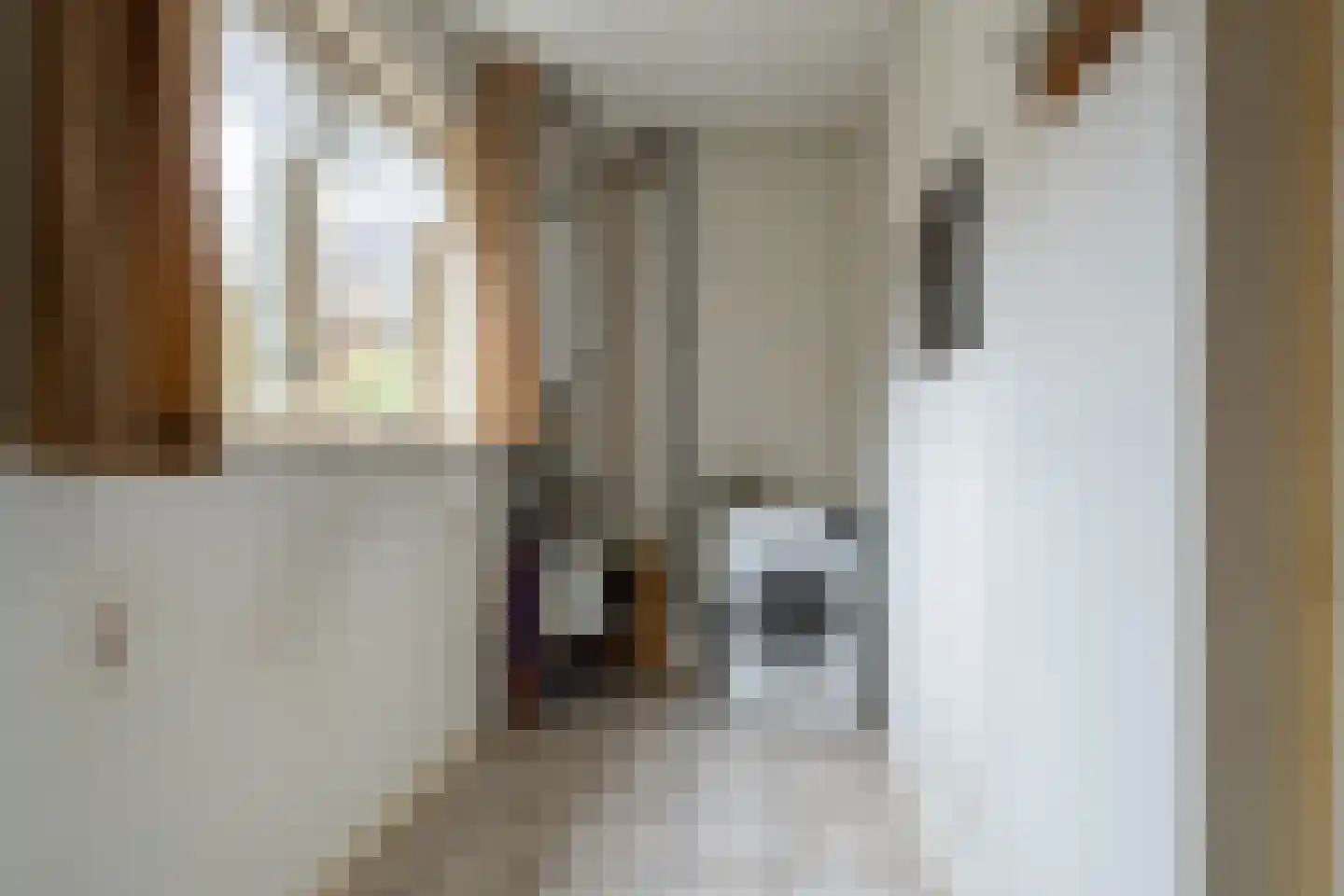 Burgemeester Posweg 13 Brakel thumbnail 15