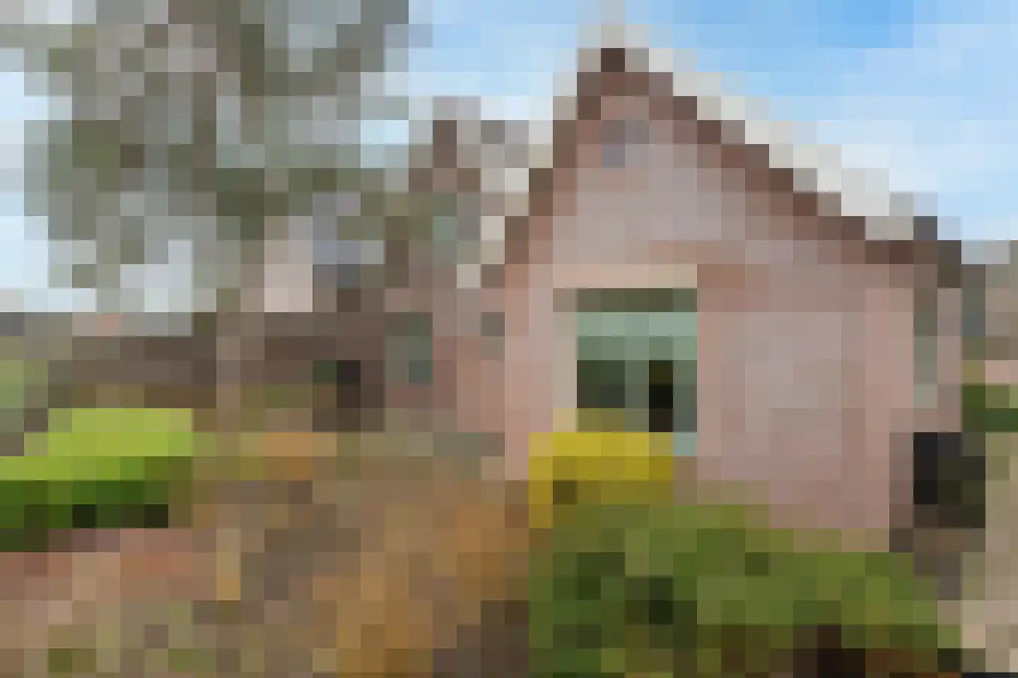 Burgemeester Posweg 13 Brakel thumbnail 26