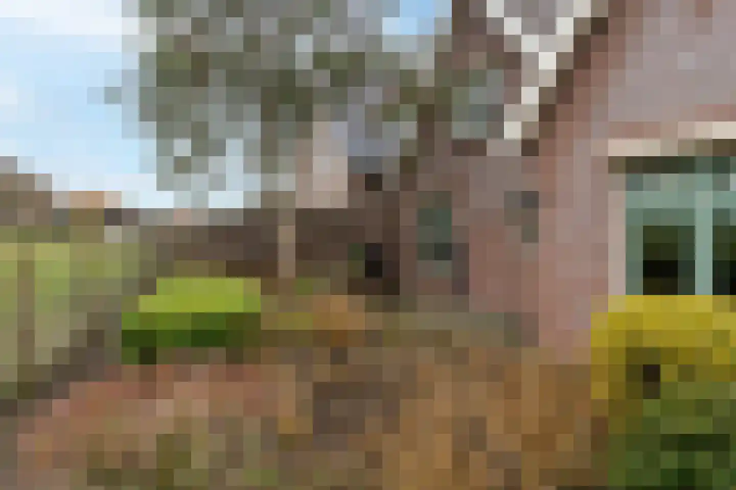 Burgemeester Posweg 13 Brakel thumbnail 27