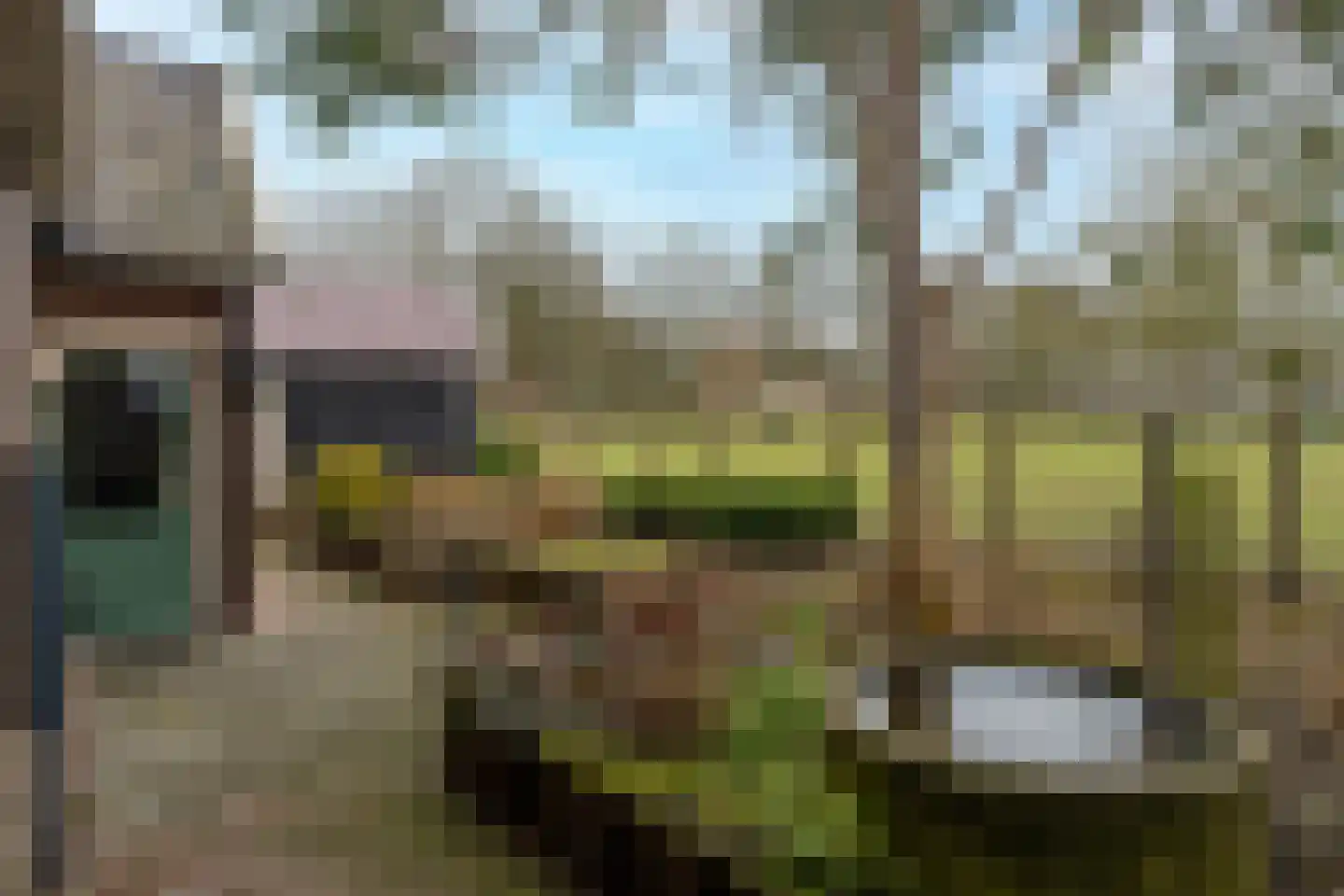 Burgemeester Posweg 13 Brakel thumbnail 28