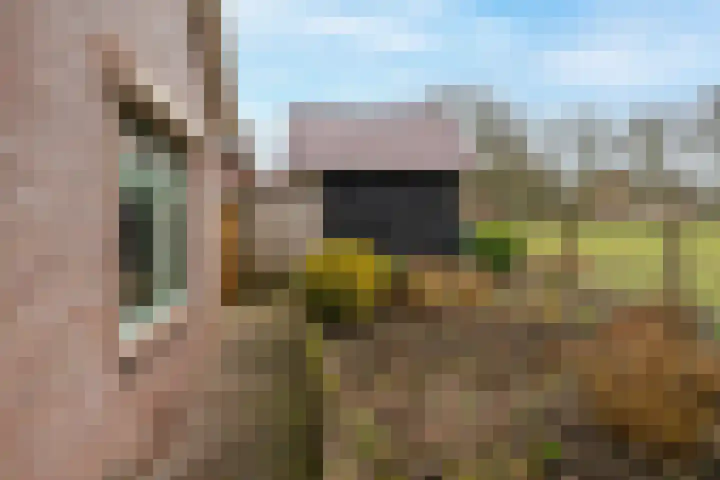 Burgemeester Posweg 13 Brakel thumbnail 30