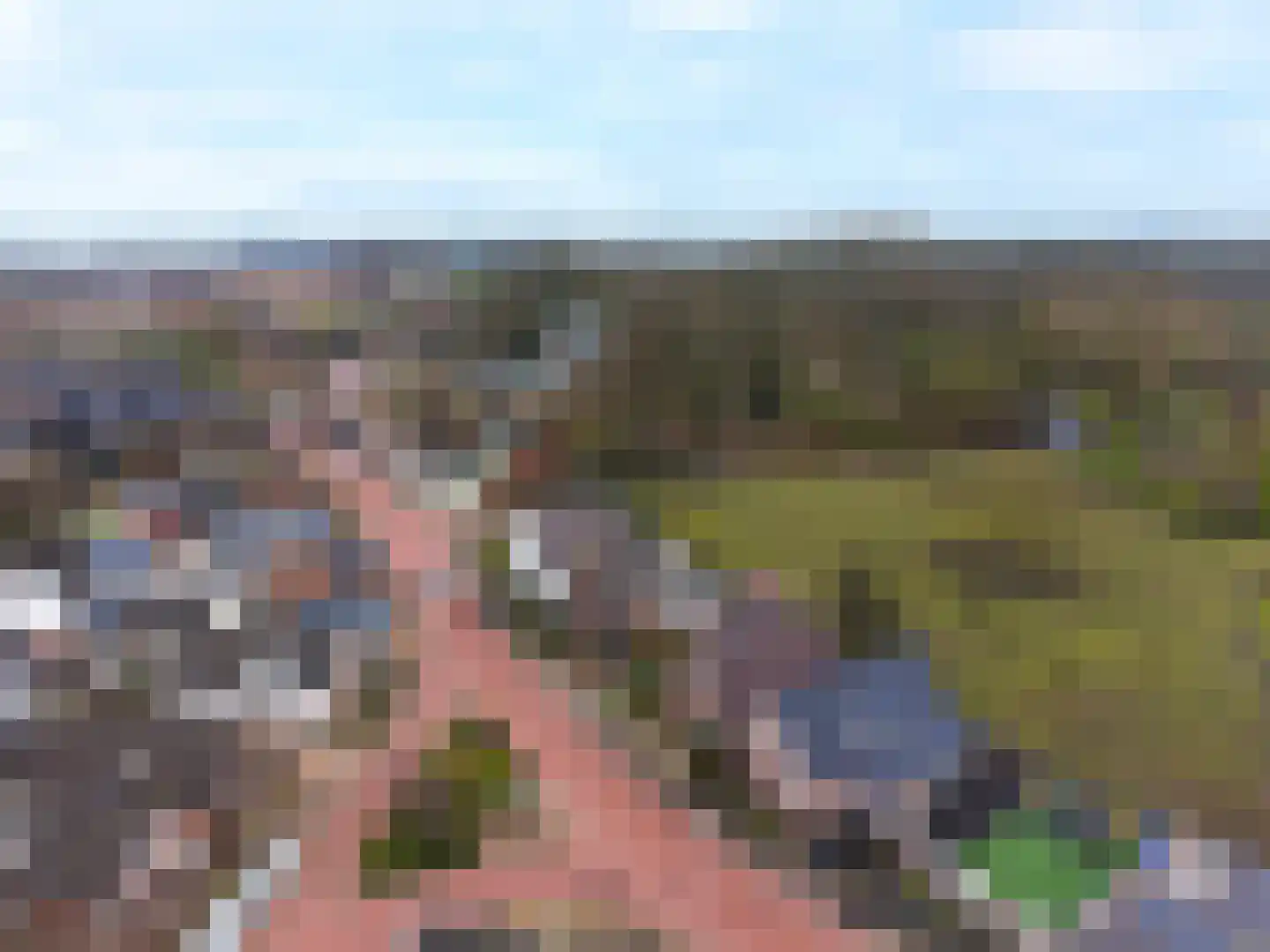 Burgemeester Posweg 13 Brakel thumbnail 4