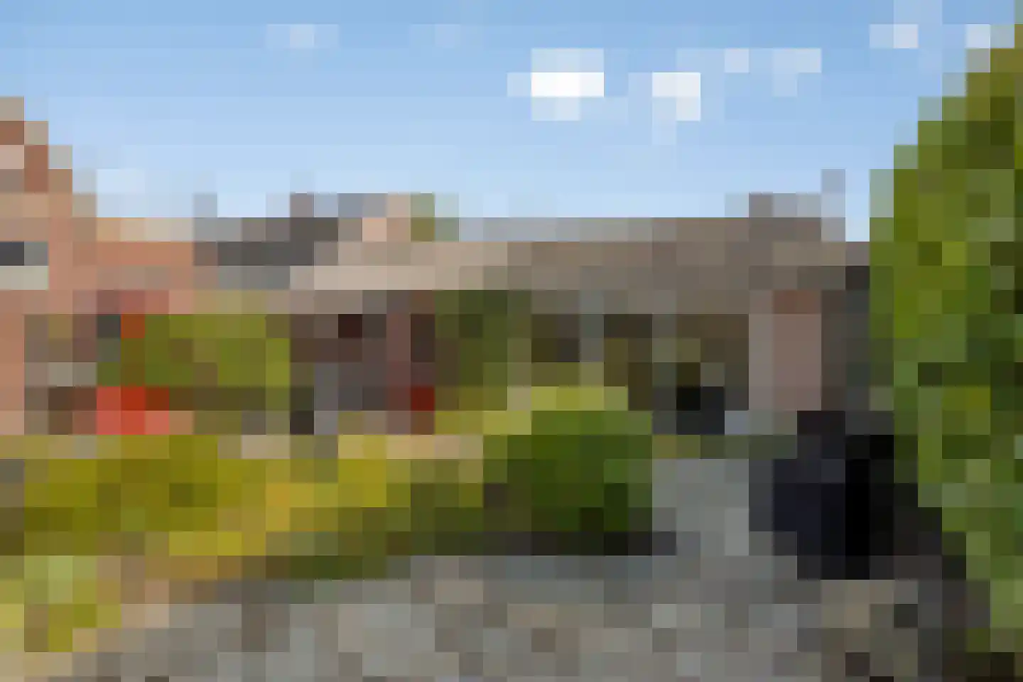 Burgemeester Posweg 35 Brakel thumbnail 34