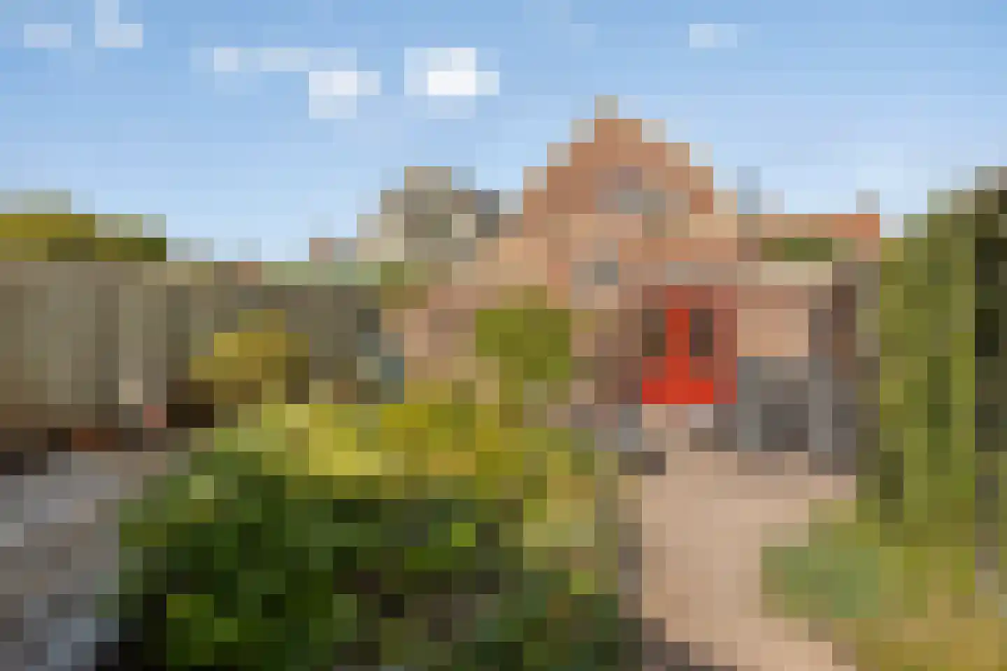 Burgemeester Posweg 35 Brakel thumbnail 36