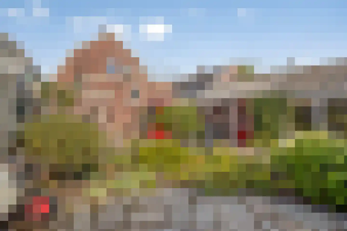 Burgemeester Posweg 35 Brakel thumbnail 37
