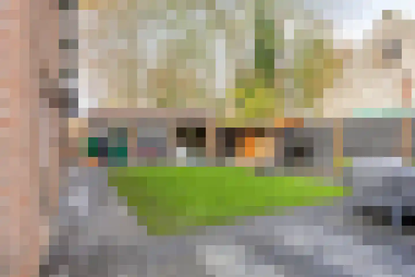 Burgemeester Posweg 50 Brakel thumbnail 33