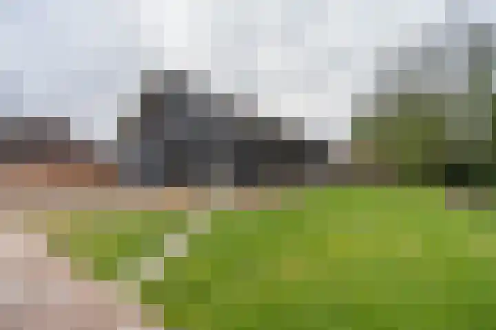 Burgemeester Posweg 65 Brakel thumbnail 35