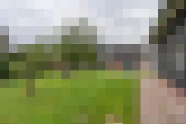 Burgemeester Posweg 65 Brakel thumbnail 36