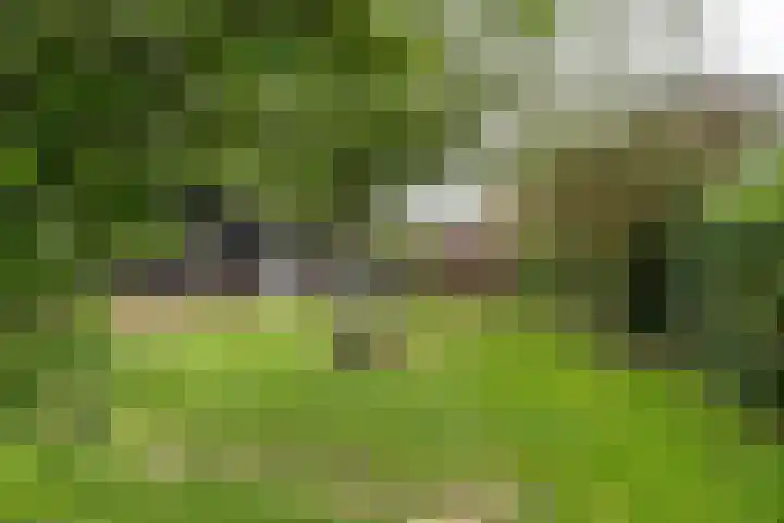 Burgemeester Posweg 65 Brakel thumbnail 37