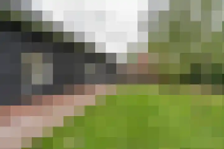 Burgemeester Posweg 65 Brakel thumbnail 38