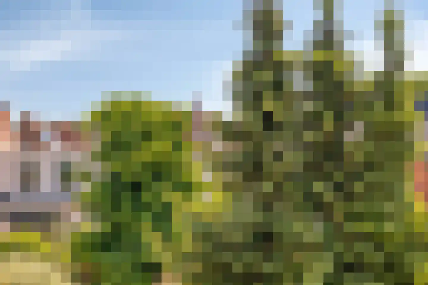 Burgemeester Prinsensingel 161 Roosendaal thumbnail 25