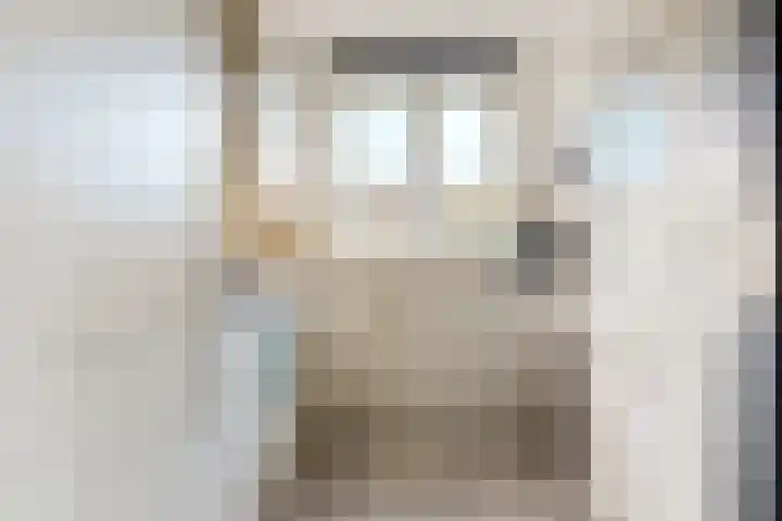 Burgemeester Prinsenstraat 8 Driebruggen thumbnail 10