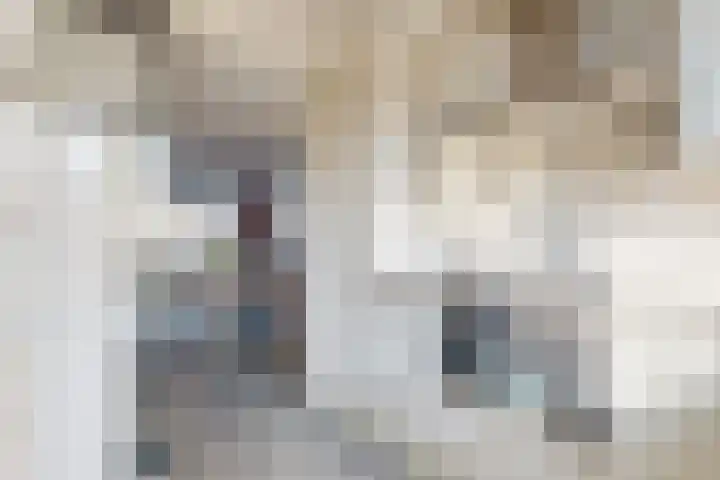 Burgemeester Prinsenstraat 8 Driebruggen thumbnail 12