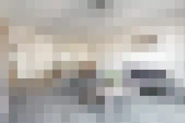 Burgemeester Prinsenstraat 8 Driebruggen thumbnail 6