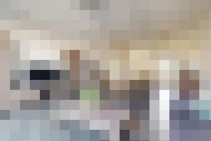 Burgemeester Prinsenstraat 8 Driebruggen thumbnail 7