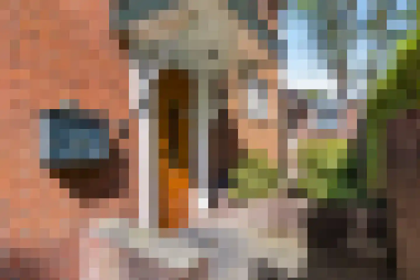 Burgemeester Prinslaan 15 Ede thumbnail 69