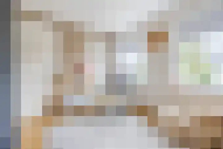Burgemeester Prinssenlaan 10 Raamsdonksveer thumbnail 30