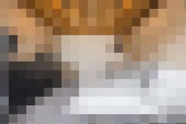 Burgemeester Prinssenlaan 10 Raamsdonksveer thumbnail 55