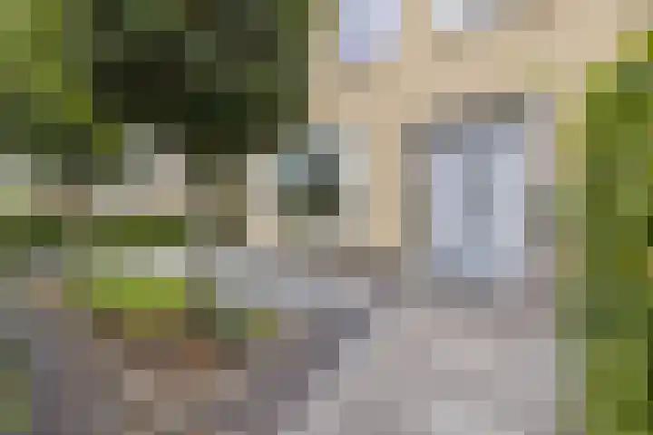 Burgemeester Prinssenlaan 10 Raamsdonksveer thumbnail 8