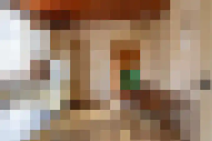Burgemeester Prinssenlaan 11 Raamsdonksveer thumbnail 12