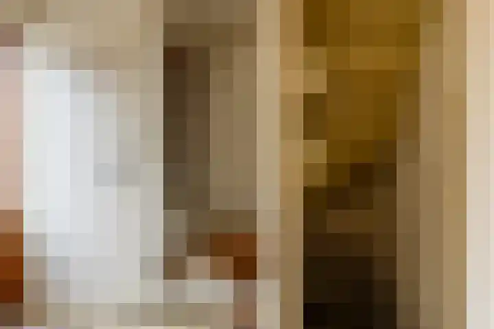 Burgemeester Prinssenlaan 11 Raamsdonksveer thumbnail 4