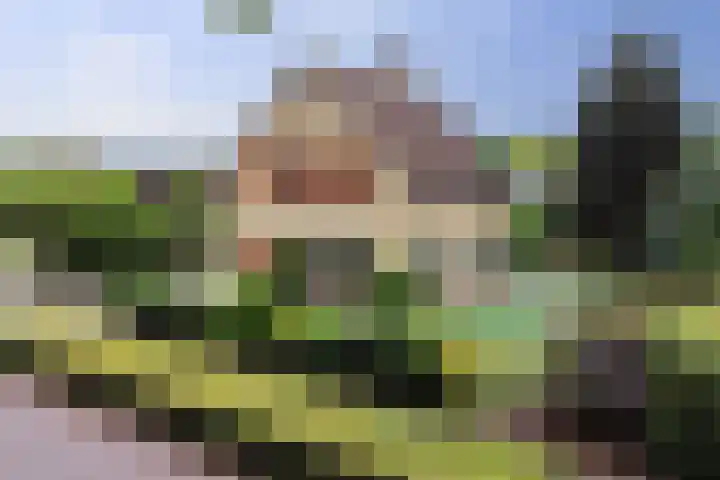 Burgemeester Prinssenlaan 47 Raamsdonksveer thumbnail 71
