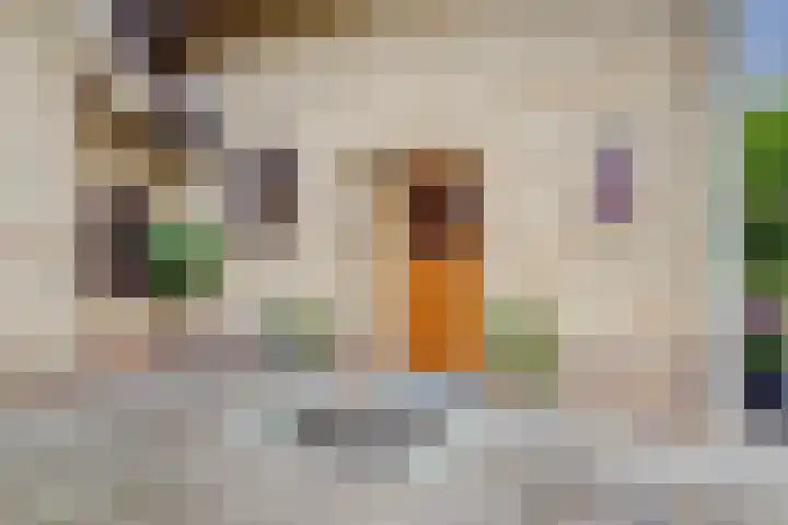 Burgemeester Prinssenlaan 47 Raamsdonksveer thumbnail 8