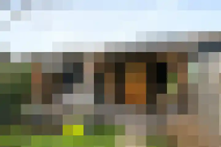 Burgemeester Pruissingel 101 Vlaardingen thumbnail 18