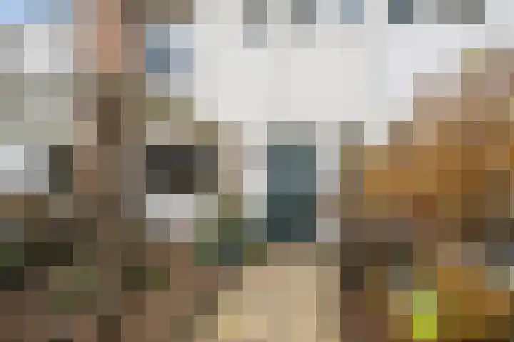 Burgemeester Pruissingel 101 Vlaardingen thumbnail 33
