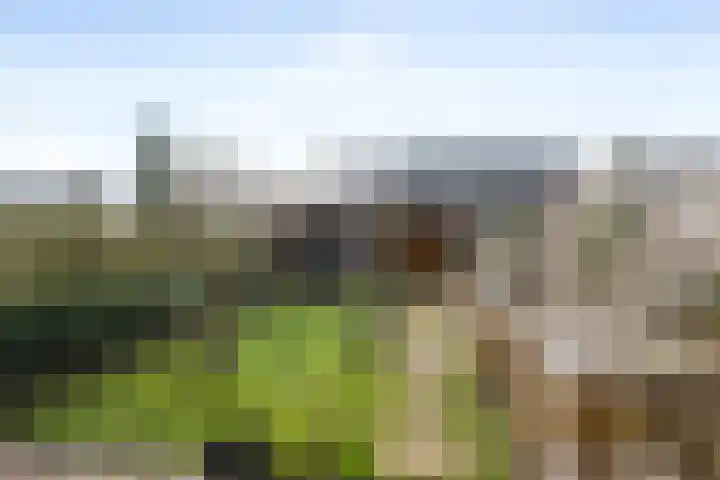 Burgemeester Pruissingel 101 Vlaardingen thumbnail 6
