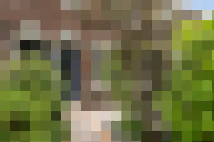 Burgemeester Pruissingel 43 Vlaardingen thumbnail 4