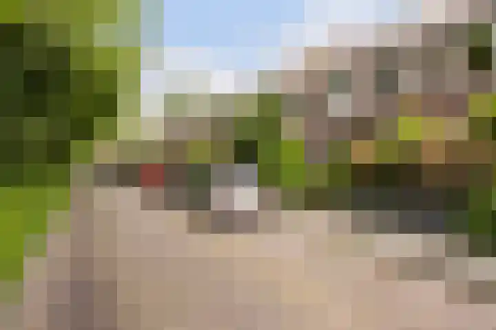Burgemeester Pruissingel 43 Vlaardingen thumbnail 7