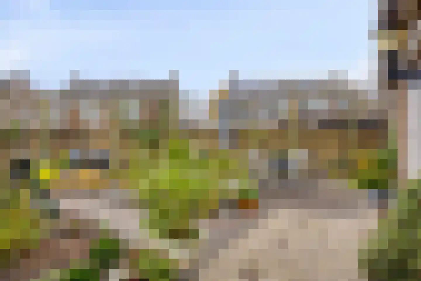 Burgemeester Prümersstraat 19 's-Gravenpolder thumbnail 37