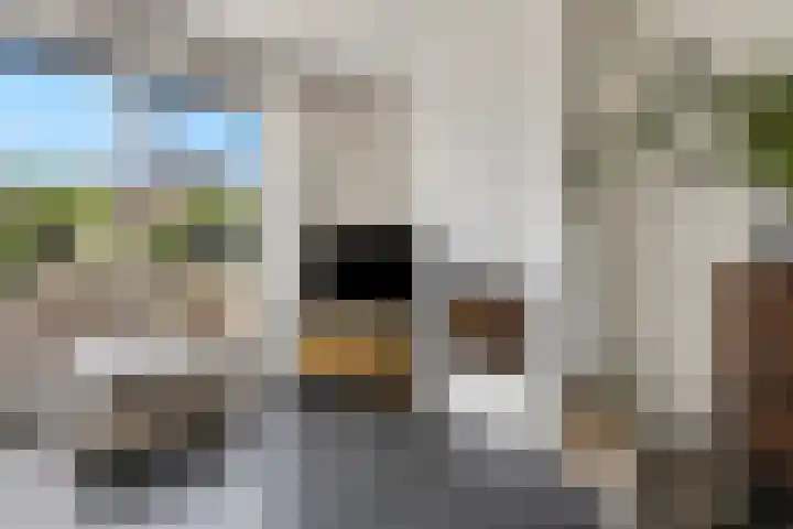 Burgemeester R Tjalmastraat 1 Kesteren thumbnail 10