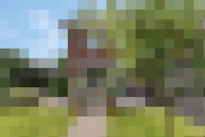 Burgemeester R Tjalmastraat 1 Kesteren thumbnail 47