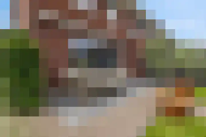 Burgemeester R Tjalmastraat 1 Kesteren thumbnail 48