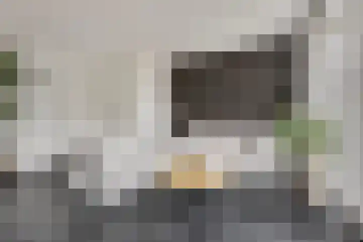 Burgemeester R Tjalmastraat 1 Kesteren thumbnail 9
