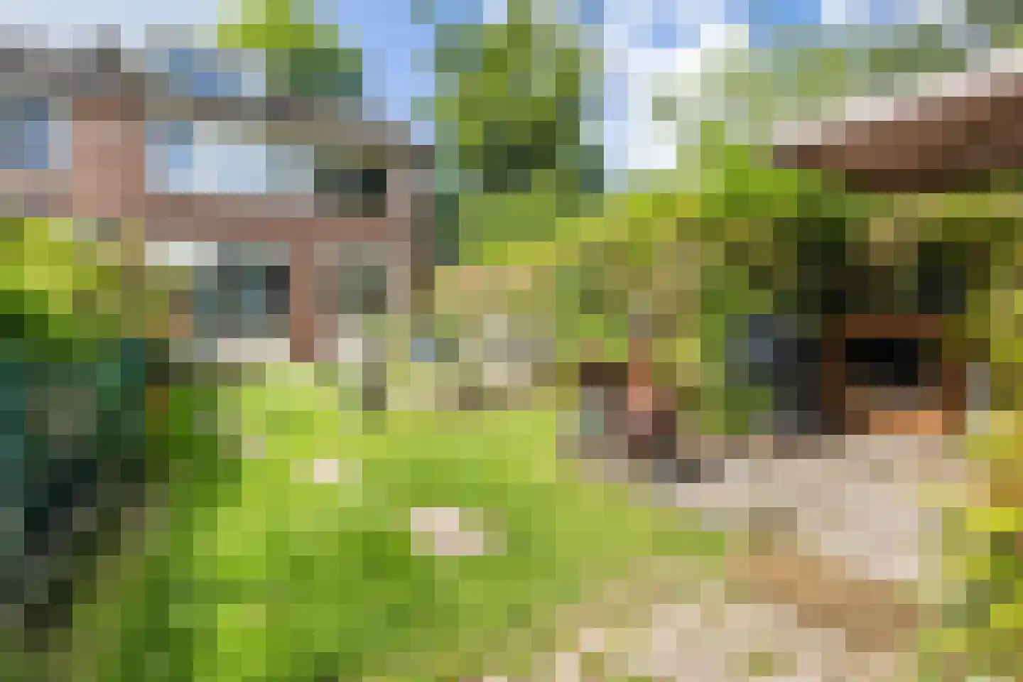 Burgemeester Raijmakerslaan 140 Grave thumbnail 29