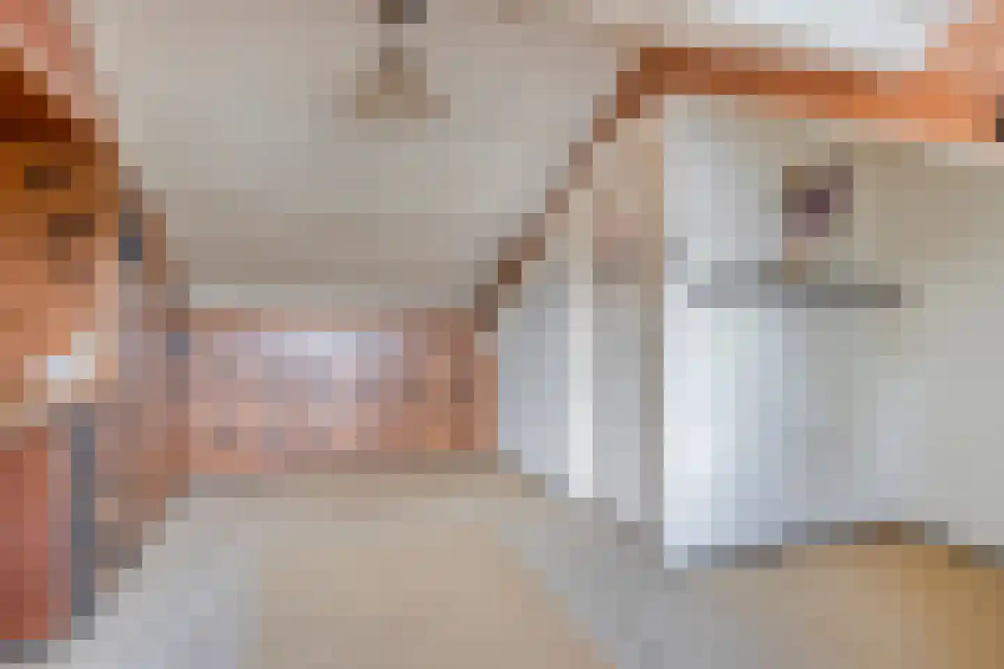 Burgemeester Raijmakerslaan 170 Grave thumbnail 33