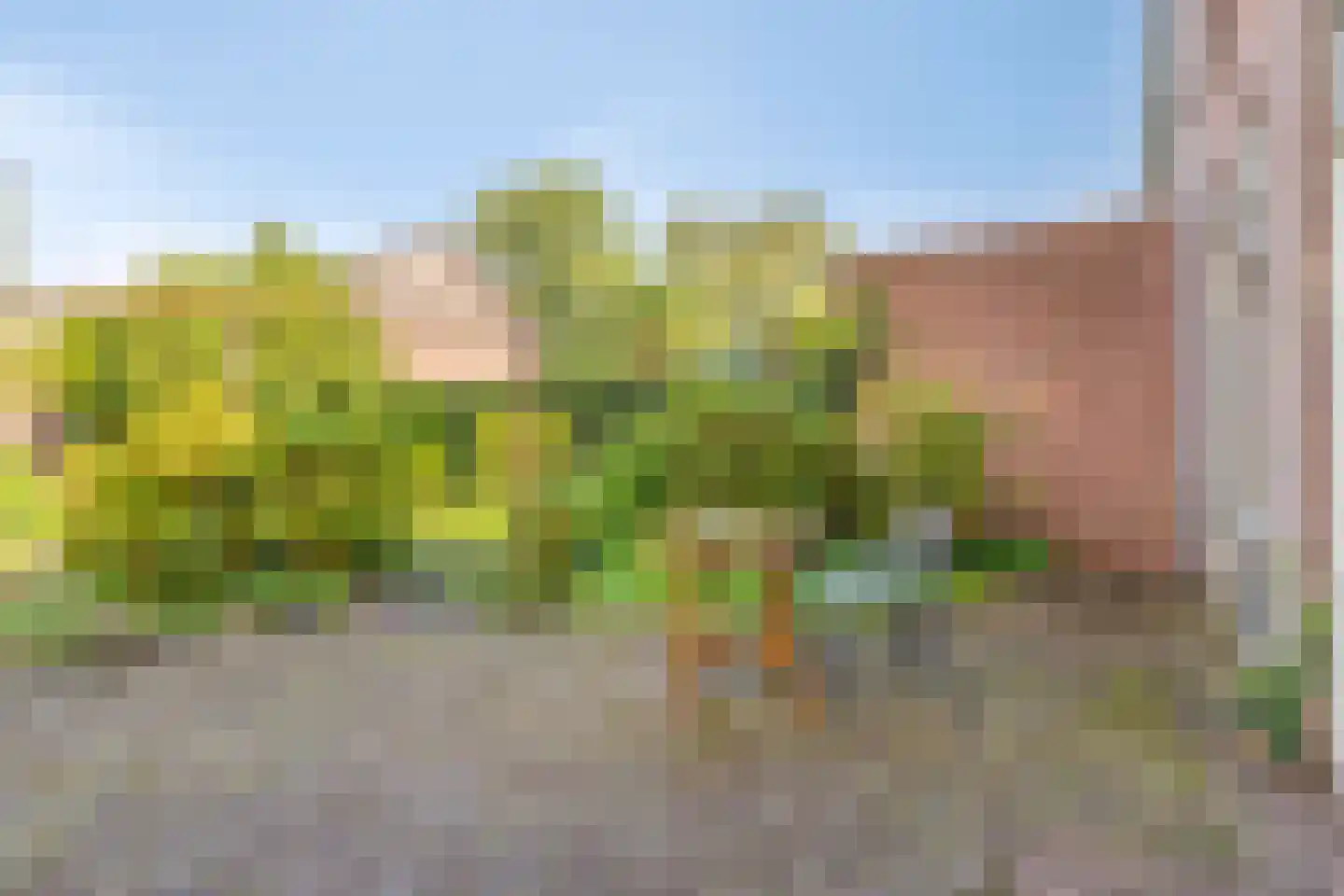 Burgemeester Raijmakerslaan 170 Grave thumbnail 34