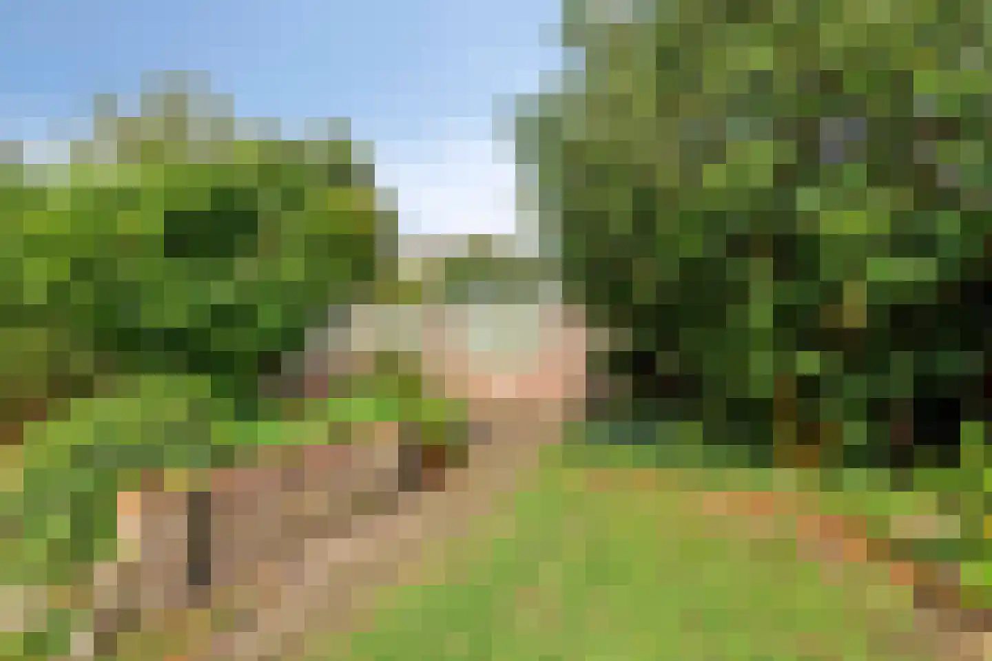 Burgemeester Raijmakerslaan 170 Grave thumbnail 39