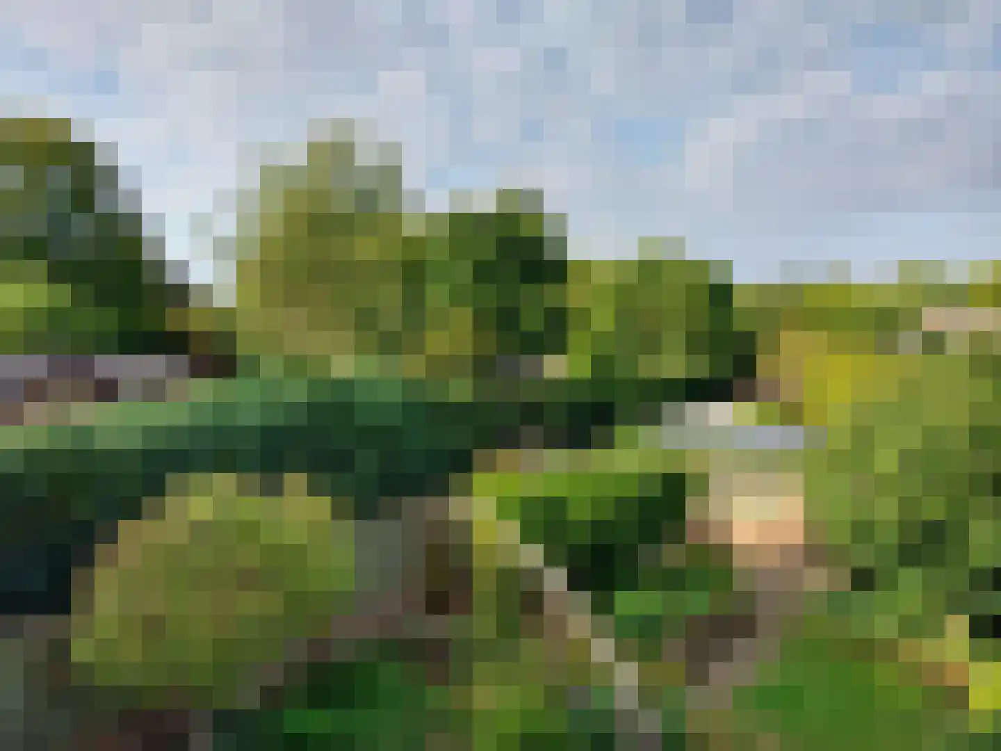 Burgemeester Raijmakerslaan 170 Grave thumbnail 4