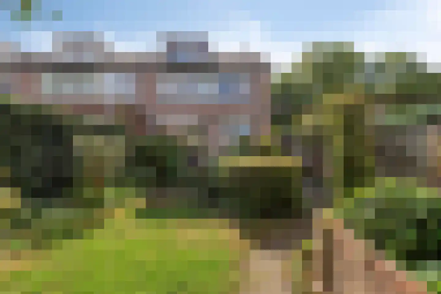 Burgemeester Raijmakerslaan 170 Grave thumbnail 5