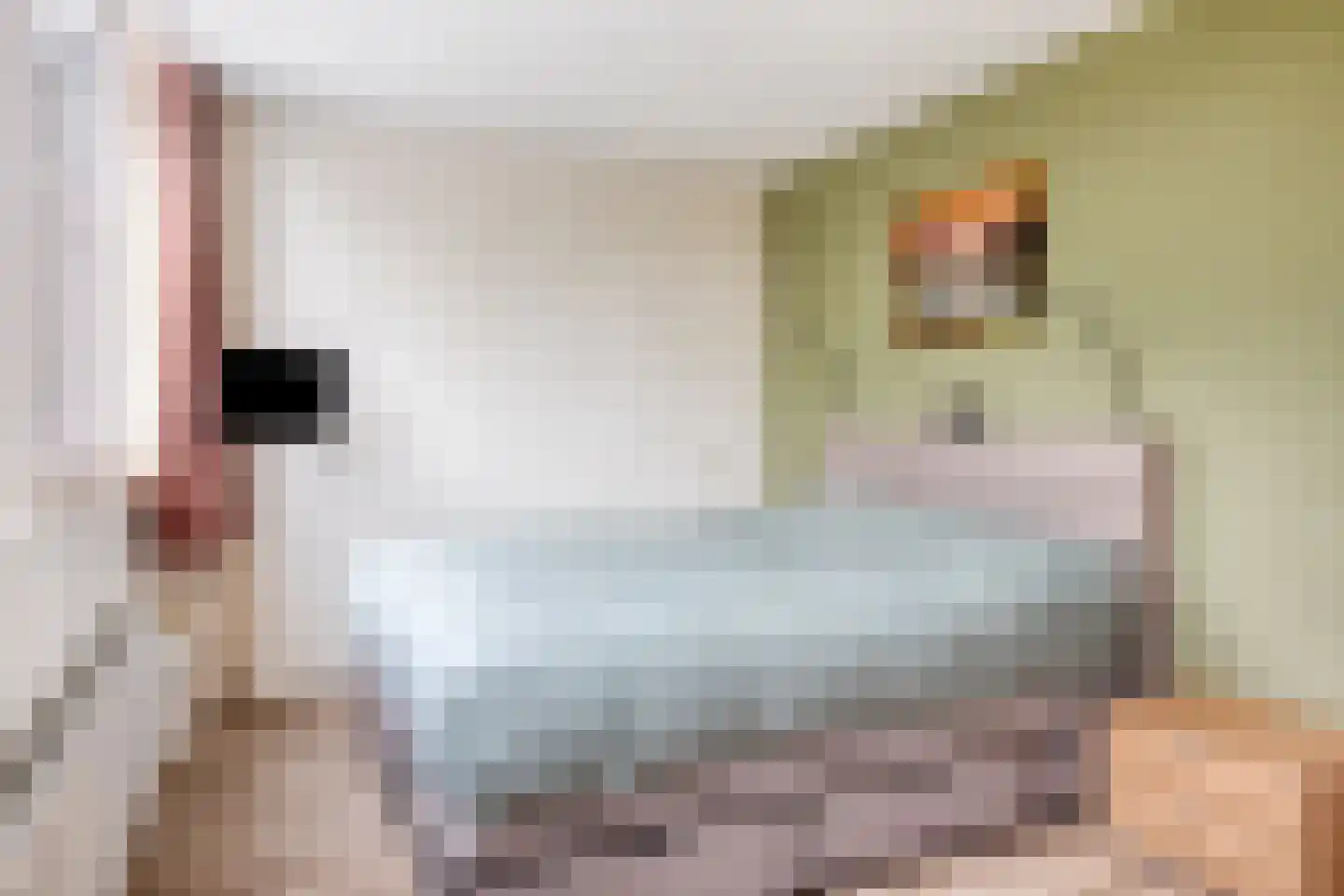 Burgemeester Raijmakerslaan 21 Grave thumbnail 23