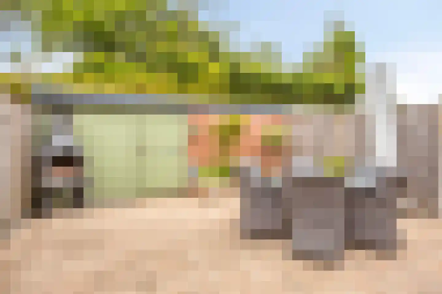 Burgemeester Raijmakerslaan 21 Grave thumbnail 40
