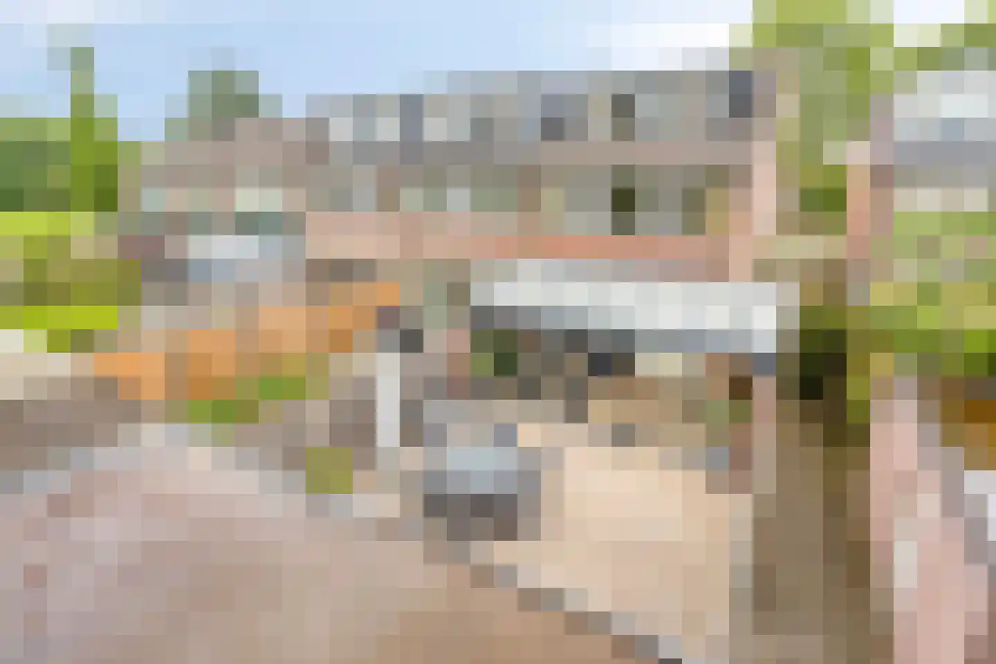 Burgemeester Raijmakerslaan 21 Grave thumbnail 43